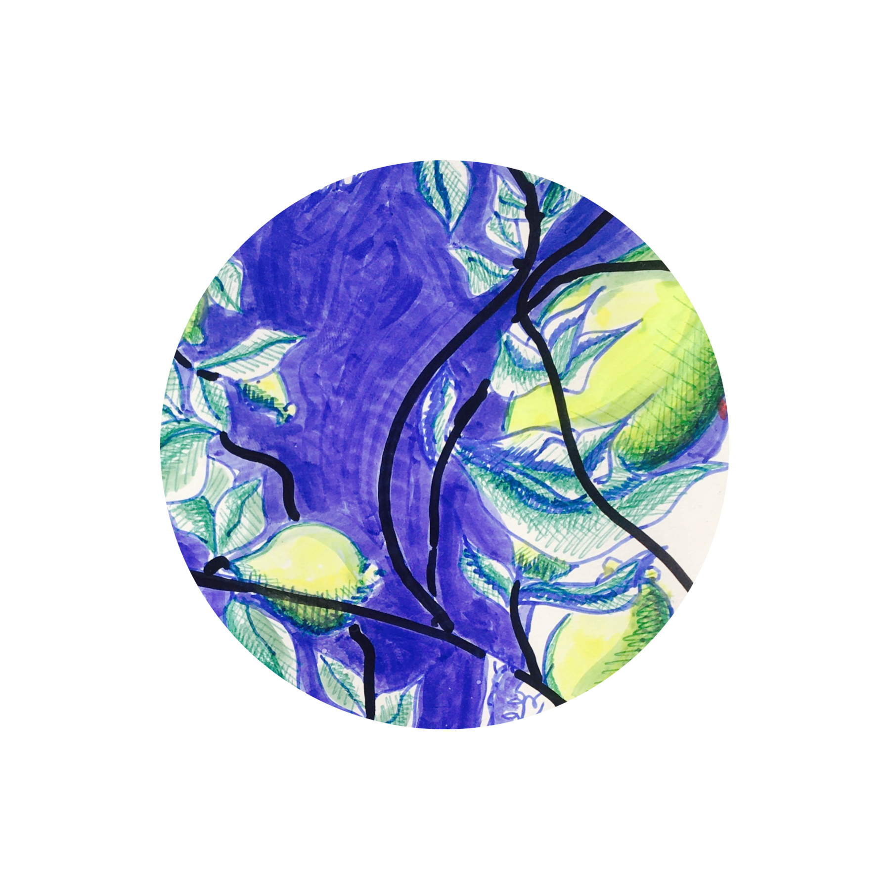 Sicurezza
